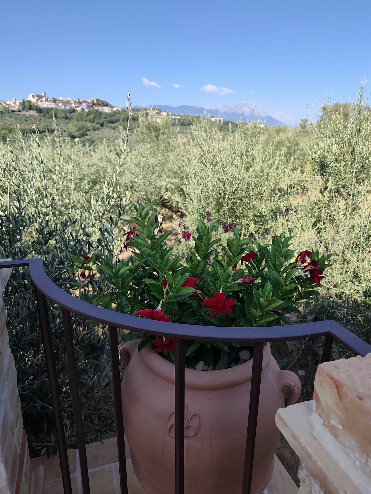Foto Struttura 2